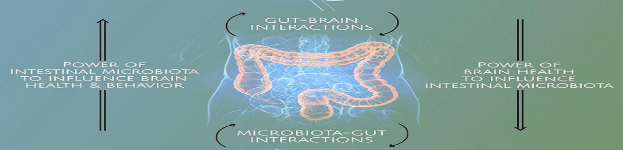 The Role of Gut Health in Mental Wellbeing