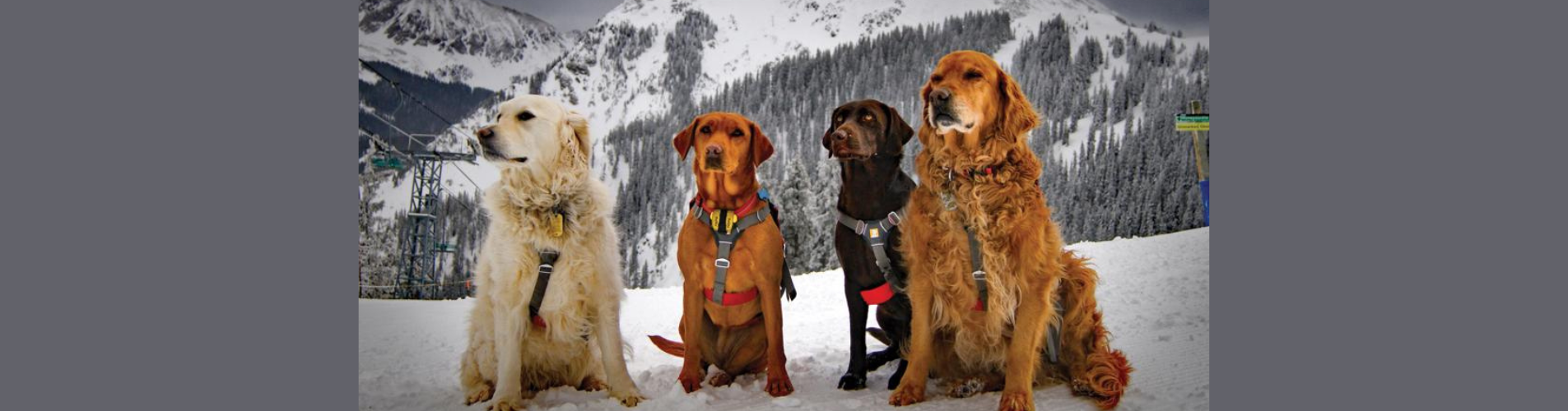 Untitled design (24)