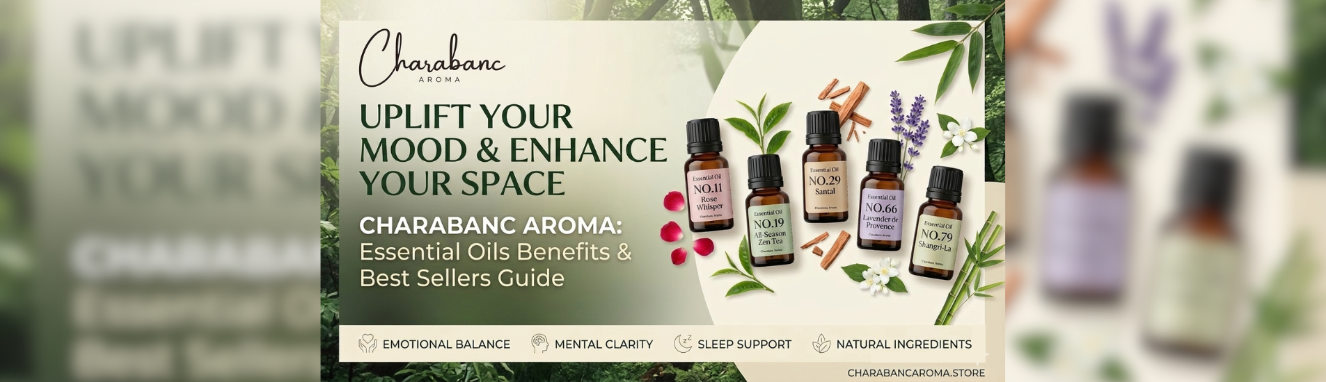 Why You Need Essential Oils from Charabanc Aroma Benefits & Best Sellers Guide