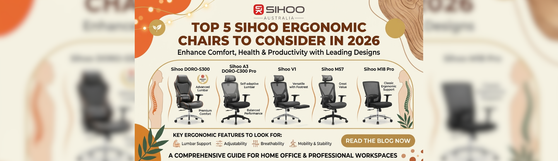 Top 5 Ergonomic Chairs from Sihoo You Should Consider in 2026 (1)